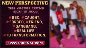 Read more about the article New Perspective