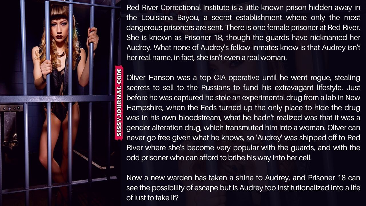 Read more about the article Prisoner 18