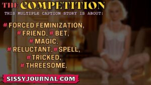 Read more about the article The Competition